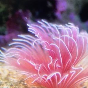 Meet your Posher, Donte